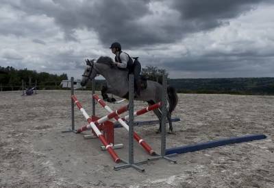 Poney de sport Connemara 2022 taille D