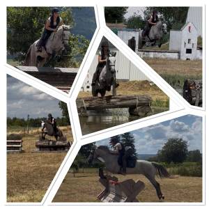 Poney de sport Connemara 2022 taille D