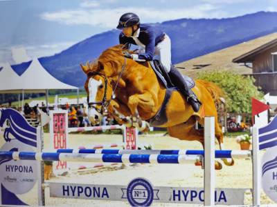 Super hongre 8 ans 1m62 idéal amateur 