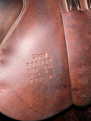 Sella da salto ostacoli forestier  17.5