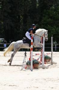 Ruin Connemara Te koop 2018 Schimmel