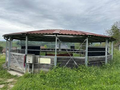 Pension chevaux à 1303 penthaz