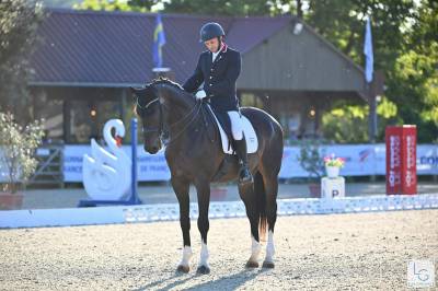 Hongre -  Oldenbourg - 13 ans - Dressage - France