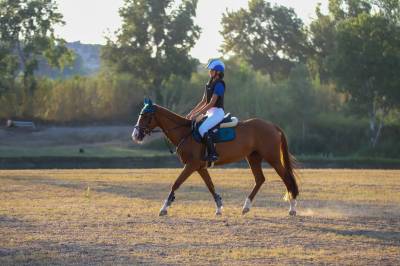 PONY ITALIANA 9 ANNI