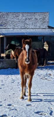 C&oelig;ur &agrave; prendre