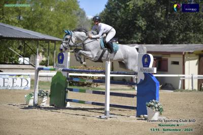 Cavalla Holsteiner del 2012 figlia diretta di Casall 