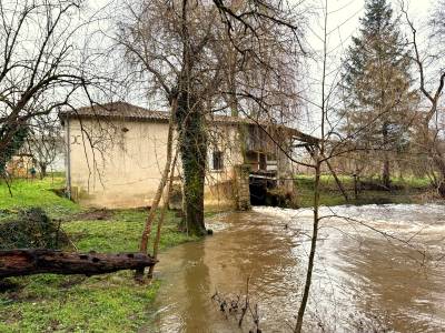 Equestrian property  charente-maritime