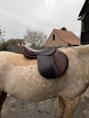 Sella da salto ostacoli  benjamin mahieu 17.5