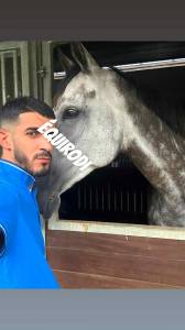 Palefrenier/responsable cherche poste log&eacute;