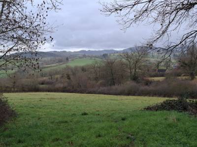 Eigenaren stal koop allier