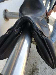 Vente selle forestier