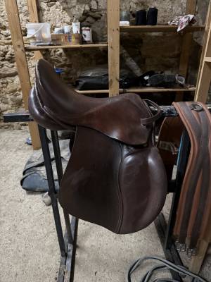 Sella junior / sella pony mondange  15