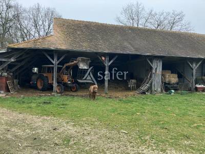 Explotación agrícola en venta yonne