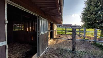 Place pour cheval dans petit coin de paradis, arconciel