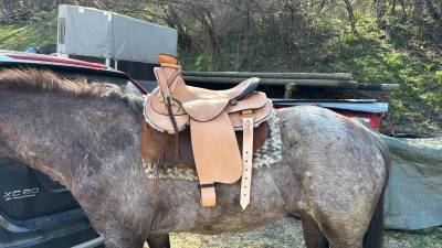 Sella da trekking  typée western de thomas pfliger  16.5