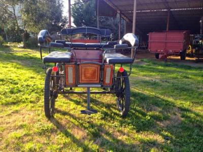 Carrozza per cavalli da passeggio e cerimonia &ndash; 4 posti