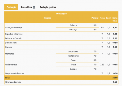 Jument Pure Sang Lusitanienne d’Exception