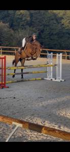 Apprentis Bac pro CGEH