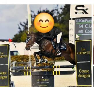 Jument sport/loisirs ou reproduction