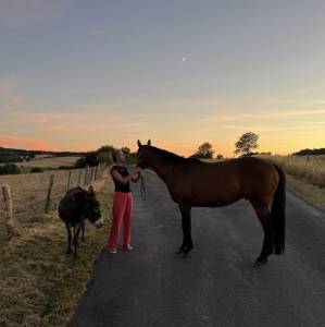 à vendre – silver (un certain sourire)