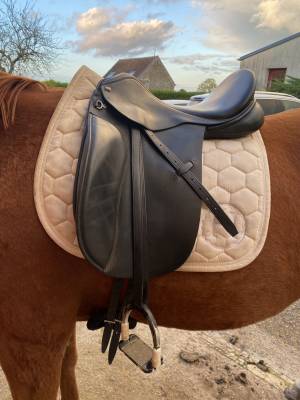 Sella da dressage  anky 18