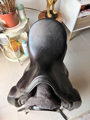 Selle dressage
