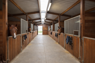 Livery yard  ile-et-vilaine