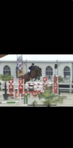 Poulinière à vendre 