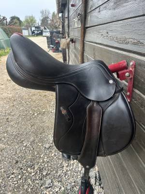 Je vends ma selle équipe mofels synergy spéciale (17k00