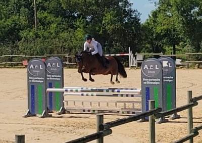 Cavalla pfs pony francese da sella in vendita 2021 baio ,  etadam d’odival