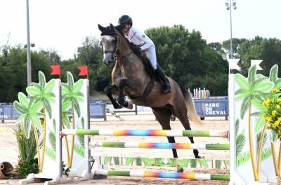 Jument sf top lignée 