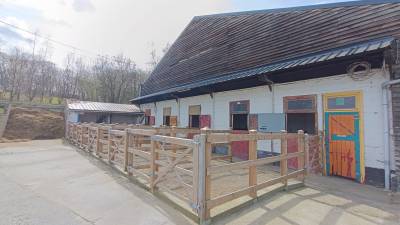 Allée de 5 boxes avec paddocks individuels à louer 