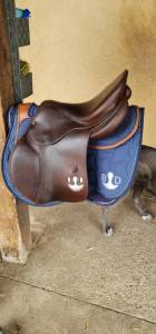 Selle delgrange partition 17.5