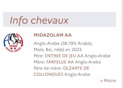Midazolam - Anglo-Arabo 2023