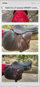Selle équipe 17pouces de fin 2024