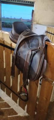 Selle ikonic évolution 