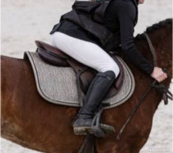 Sella da salto ostacoli  gbs 16.5