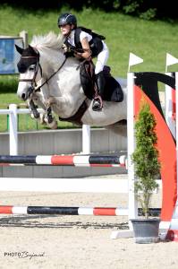 Ponette DSA, n&eacute;e en 2012, 144cm