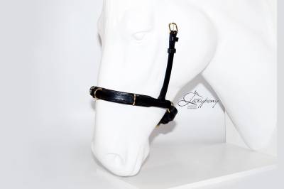 Academic cavesson noseband Lazypony / Muserola cavesson