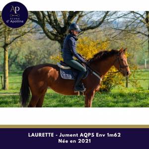 Mare aqps for sale 2021 chesnut