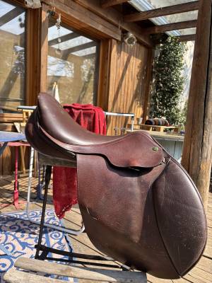 Sella mista ronzon fontainebleau 17.5