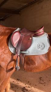 Selle cwd première main 17.5 pouces