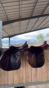 Selle antares connexion 