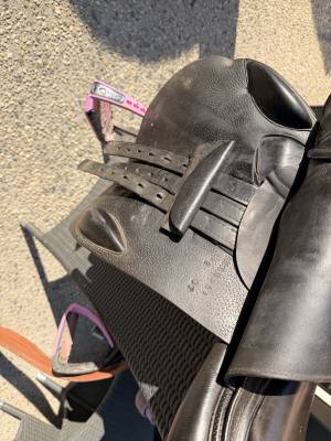 Sella da salto ostacoli prestige italia  17.5