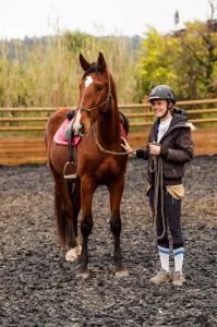 Castrone sella francese in vendita 2023 baio ,  varennes du breuil