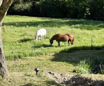 Propriété dans la drôme de 15 hectares avec grand gîte