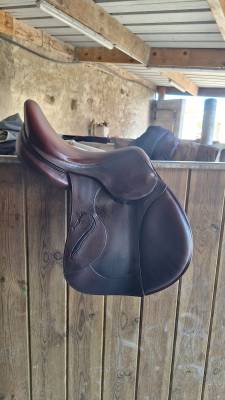 Sella mista antarès  17