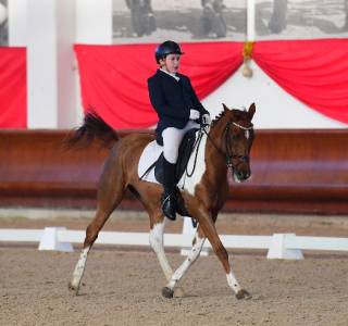 Pony campionessa italiana di freestyle cat E junior