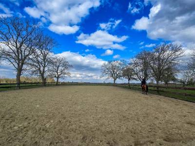Propriété équestre avec habitation