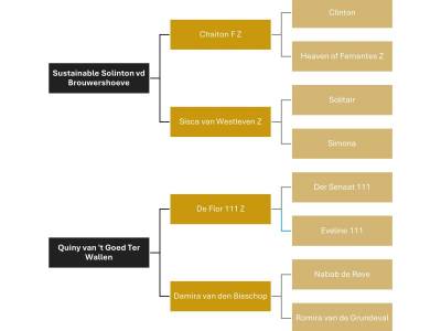 Magnifique 4 ans  - gros potentiel